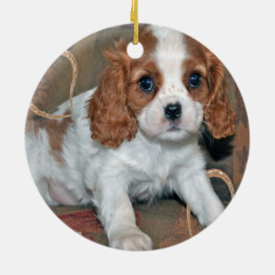 チャールズPuppy Ornament無頓着な王 セラミックオーナメント
