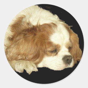 チャールズSLEEPING無頓着な王 ラウンドシール