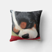 チャールズTri-Color Pillow無頓着な王 クッション (裏面)