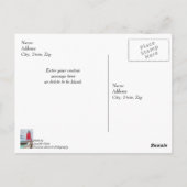 チャールボイ サウスピアヘッド ライトハウス ありがとう ポストカード (裏面)