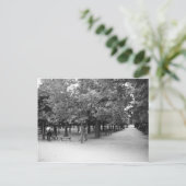 チュイルリー – 牧歌的な風景 ポストカード (スタンド正面)