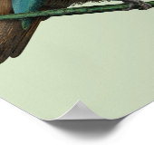 チュイ・ニュージランド・バード ポスター (角)