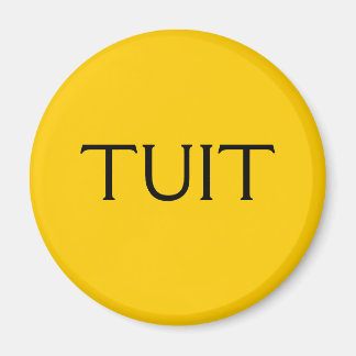 チュイ マグネット