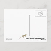 チュカルパトリッジ ポストカード (裏面)