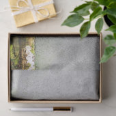 チュカンティッシュペーパー 薄葉紙 (ギフト)