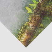 チュカンティッシュペーパー 薄葉紙 (詳細)