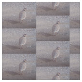 チュカールデザイン ファブリック (見本)