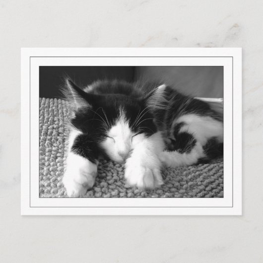 チュクセアンゴラポエス ポストカード (正面)