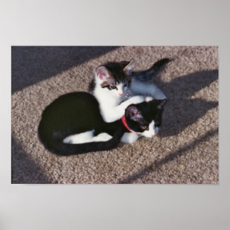 チュダ・サミ ポスター