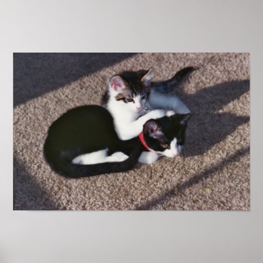 チュダ・サミ ポスター (正面)