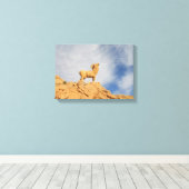 チュニジアのヤギ像 キャンバスプリント (インサイチュ (ウッドフロア))