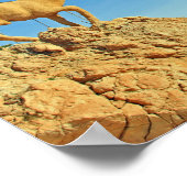 チュニジアのヤギ像 ポスター (角)