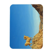 チュニジアのヤギ像 マグネット (縦)