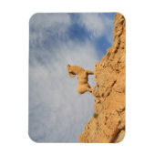 チュニジアのヤギ像 マグネット (縦)