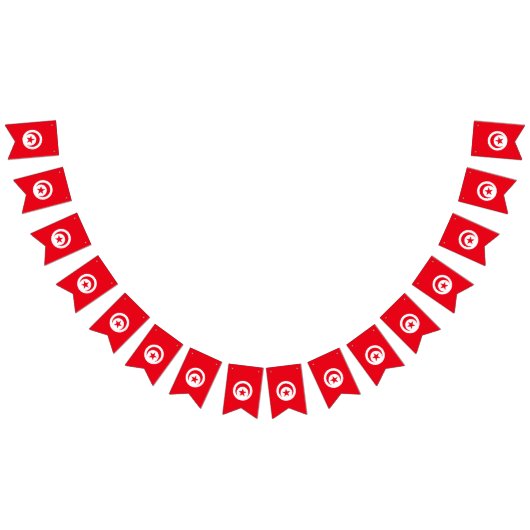 チュニジアの旗 バンティングフラッグ (全)