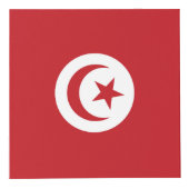 チュニジア国旗 フォトキューブ (正面)