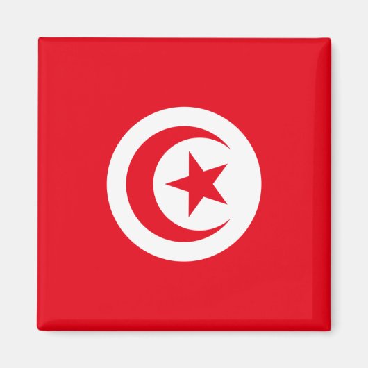 チュニジア国旗 マグネット (正面)
