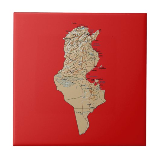 チュニジア地図タイル タイル (正面)