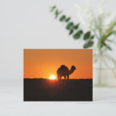 チュニジア砂漠の夕暮れ ポストカード (スタンド正面)