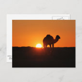 チュニジア砂漠の夕暮れ ポストカード (正面/裏面)