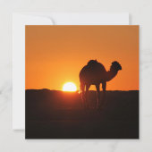 チュニジア砂漠の風景をラクダで撮影 (正面)