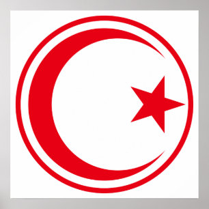 チュニジア空軍の総括 ポスター
