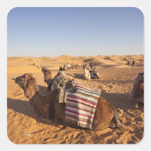 チュニジア、クサワーエリア、クサールギラン、グランドErg 3 スクエアシール (正面)