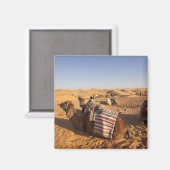 チュニジア、クサワーエリア、クサールギラン、グランドErg 3 マグネット (正面/裏面)