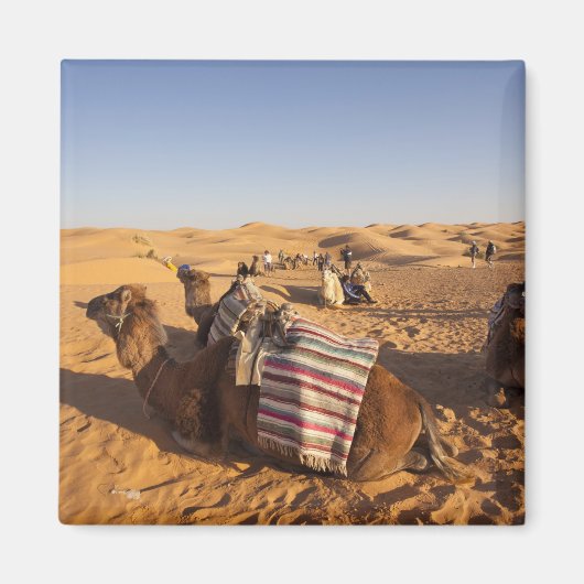 チュニジア、クサワーエリア、クサールギラン、グランドErg 3 マグネット (正面)