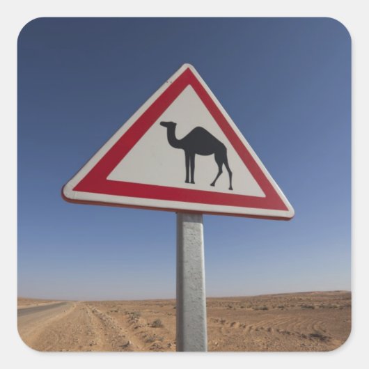 チュニジア、クサワーエリア、クサールギラン、グランドErg 6 スクエアシール (正面)