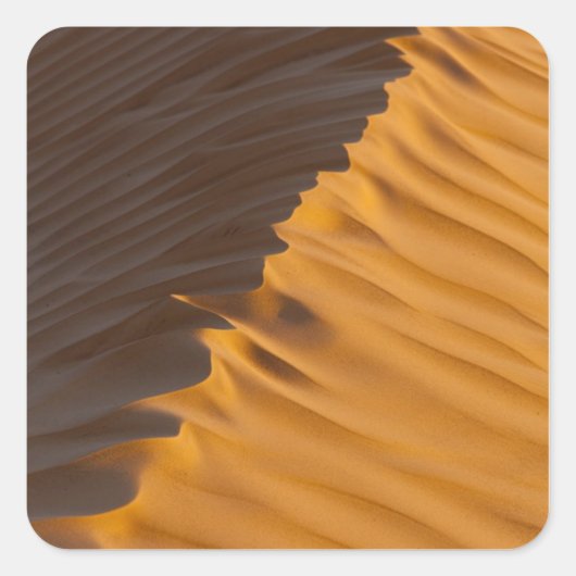 チュニジア、クサワーエリア、クサール・ギラン、グランド・エッグ スクエアシール (正面)