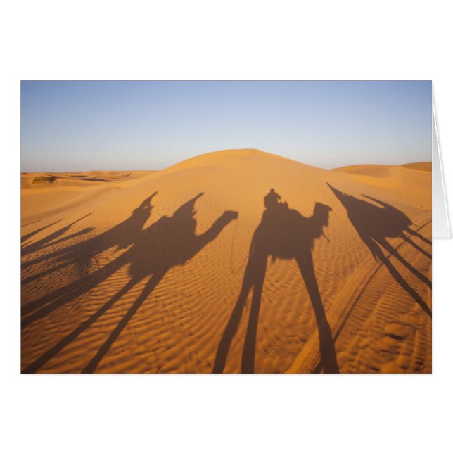 チュニジア、クサー地域、Ksar Ghilane、グランドエルグ5 (正面横)