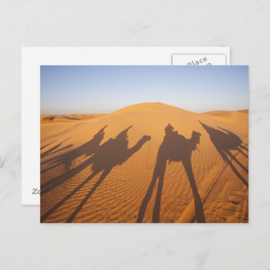 チュニジア、クサー地域、Ksar Ghilane、グランドエルグ5 ポストカード (正面/裏面)