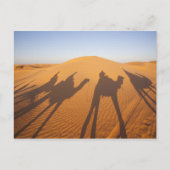 チュニジア、クサー地域、Ksar Ghilane、グランドエルグ5 ポストカード (正面)