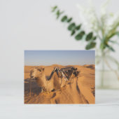 チュニジア、クサー地域、Ksar Ghilane、グランドエルグ5 ポストカード (スタンド正面)