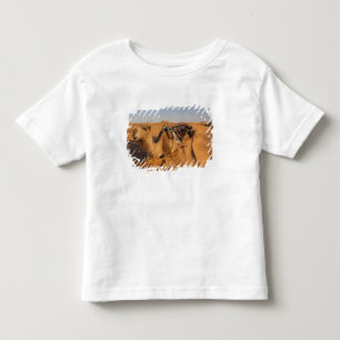 チュニジア, クスール地方, クサル・ギラン, グランド・エルグ 5 トドラーTシャツ