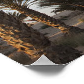 チュニジア、サハラ砂漠、ドゥス素晴らし、デューン、ヤシ ポスター (角)