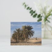 チュニジア、サハラ砂漠、ドゥス素晴らし、デューン、ヤシ ポストカード (スタンド正面)