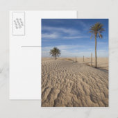 チュニジア、サハラ砂漠、ドゥス素晴らし、デューン、夜明け ポストカード (正面/裏面)