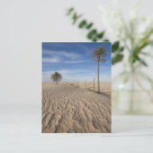 チュニジア、サハラ砂漠、ドゥス素晴らし、デューン、夜明け ポストカード (スタンド正面)