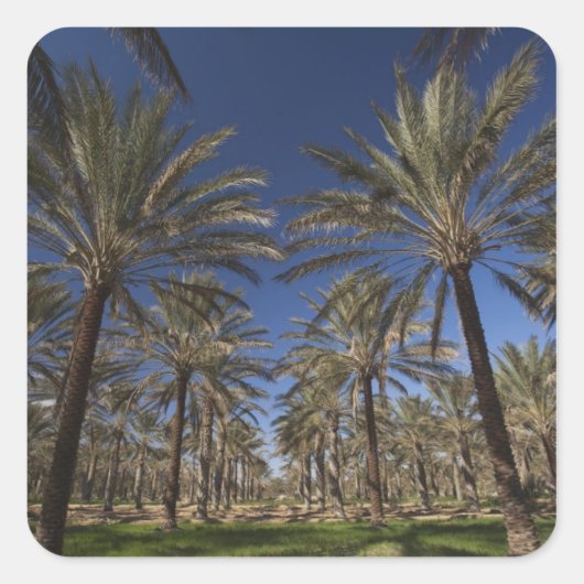 チュニジア，サハラ砂漠，ドゥズ，ゾーンツーリスティック， 2 スクエアシール (正面)