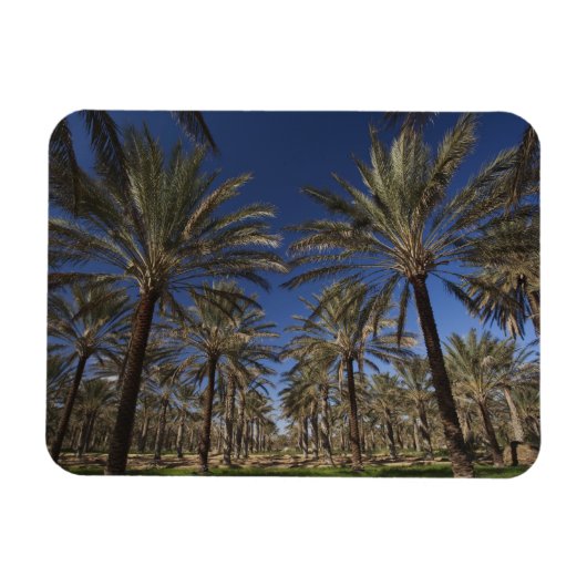 チュニジア，サハラ砂漠，ドゥズ，ゾーンツーリスティック， 2 マグネット (横)