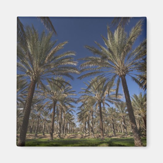 チュニジア，サハラ砂漠，ドゥズ，ゾーンツーリスティック， 2 マグネット (正面)