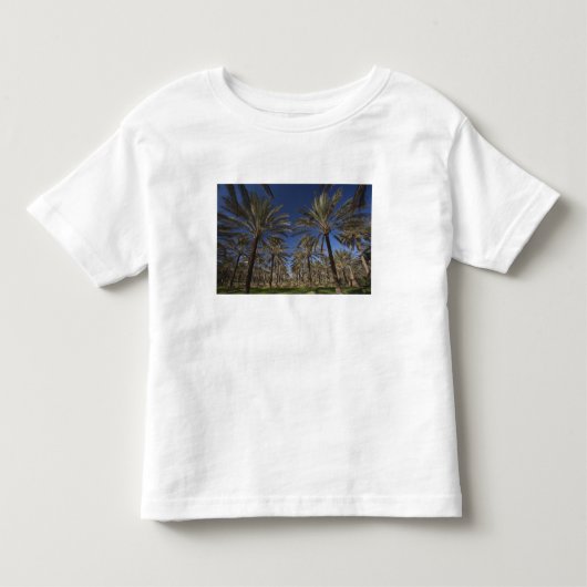 チュニジア, サハラ砂漠, ドゥーズ, 観光地, 2 トドラーTシャツ (正面)