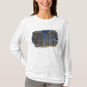 チュニジア, サハラ砂漠, ドゥーズ, 観光地, 2 Tシャツ