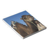 チュニジア、サハラ砂漠、ドゥーツ、ゾーンツーリスティック、 ノートパッド (アングル)