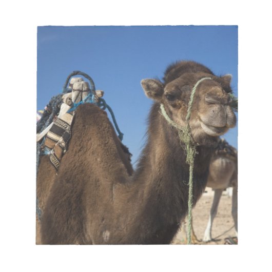 チュニジア、サハラ砂漠、ドゥーツ、ゾーンツーリスティック、 ノートパッド (正面)