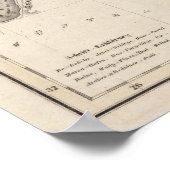 チュニジア ポスター (角)