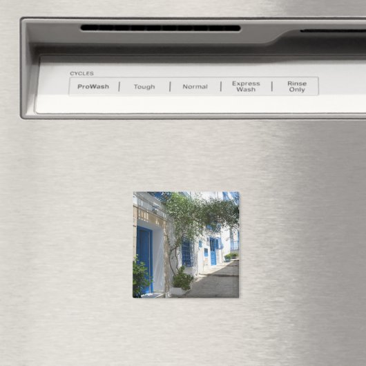 チュニジア マグネット (インサイチュ (食洗機))