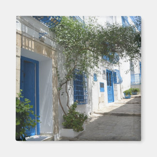 チュニジア マグネット